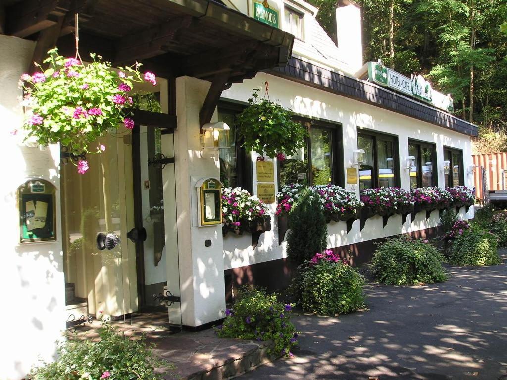 Hotel Wiedfriede Roßbach Eksteriør billede